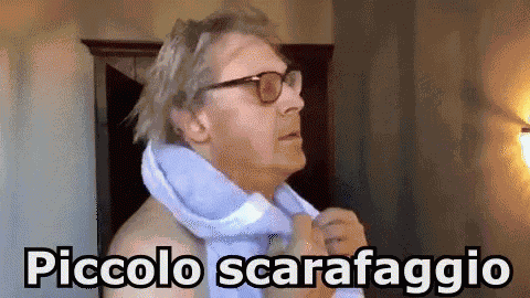 Vittorio Sgarbi Piccolo Scarafaggio Ignorante Stupido GIF