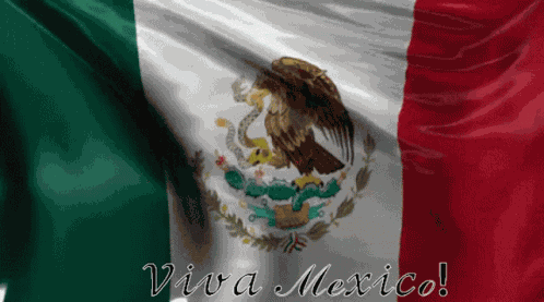Viva Mexico Bandera Mexicana GIF