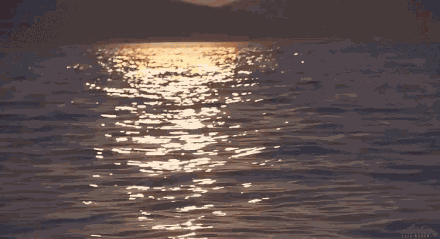 Vivian Amorim Watching Sunset GIF