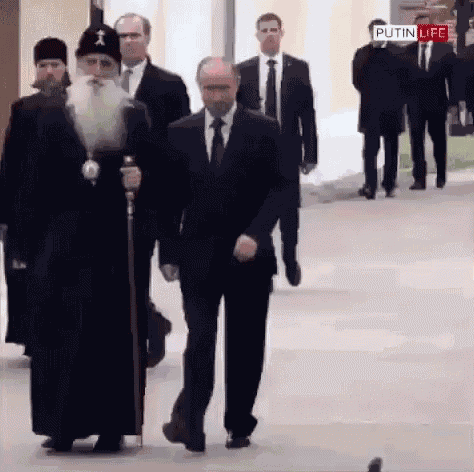 Vladimir Putin Pigeon GIF