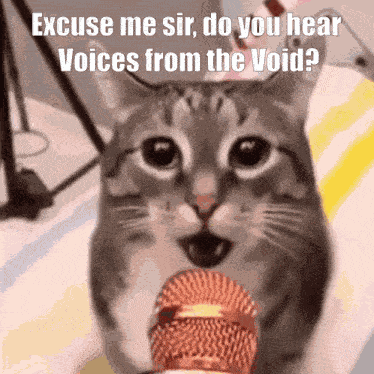Voices Of The Void Cat GIF