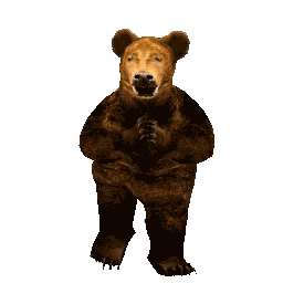 Voima Bear GIF