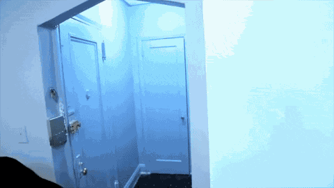 Voltaire Aurelio Voltaire GIF