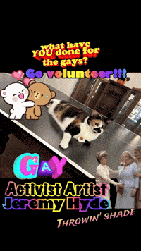 Volunteer I Volunteer GIF