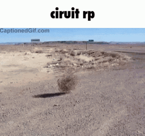 Waffloos Curcuit Roleplay GIF