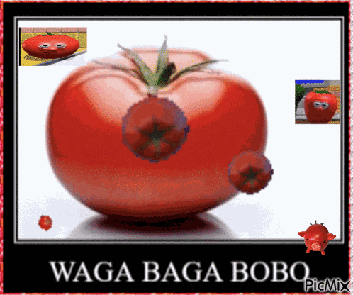 Waga Baga Bobo Paper Smoothie GIF