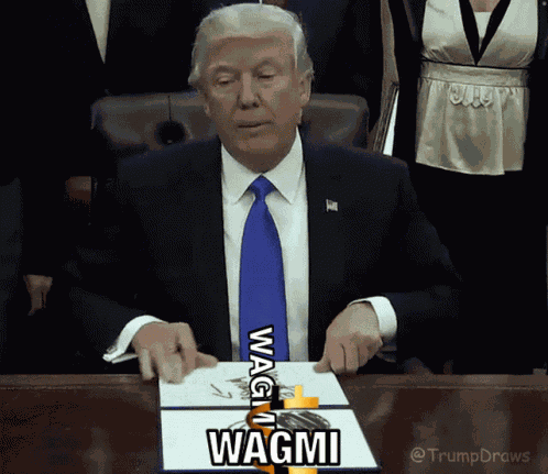 Wagmi Cryptocurrency GIF