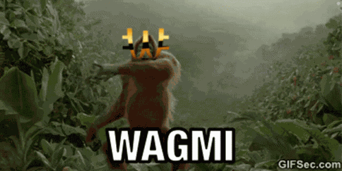 Wagmi Cryptocurrency GIF