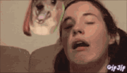 Wahwah GIF