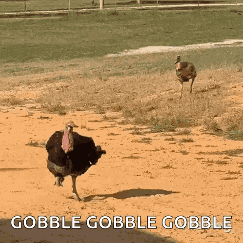 Wait For Me Im Coming GIF