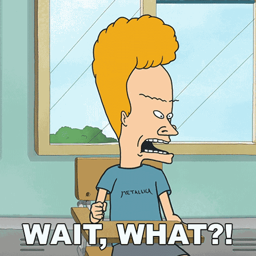 Wait What Beavis GIF