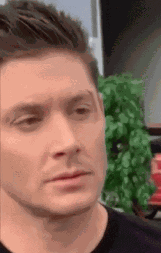 Wait What Raised Eyebrow GIF