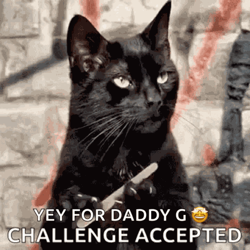 Waiting Cat Filing Nail GIF