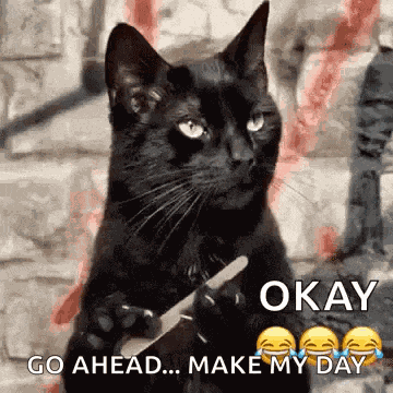 Waiting Cat Filing Nail GIF