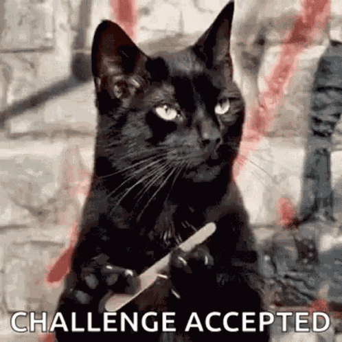 Waiting Cat Filing Nail GIF