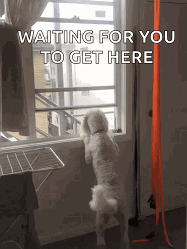 Waiting For You GIF