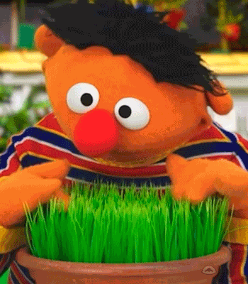 Waiting Grass GIF