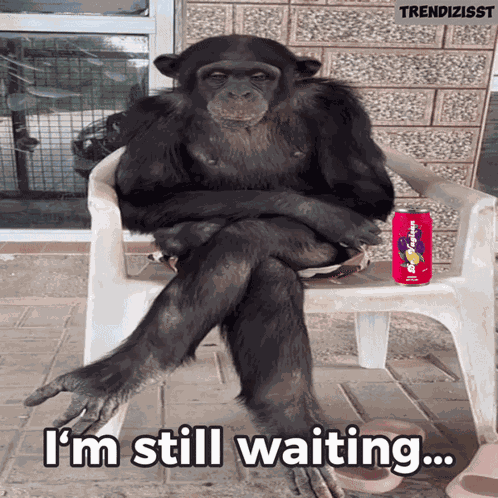 Waiting Monkey GIF