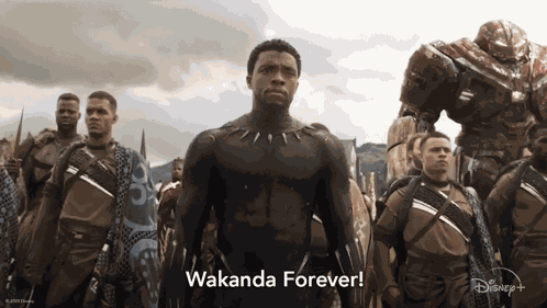 Wakanda Forever T'Challa GIF