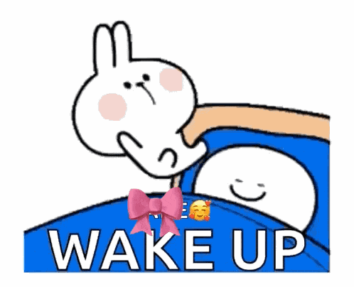Wake Up Cony GIF