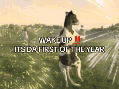 Wake Up It'S Da First Of The Year GIF