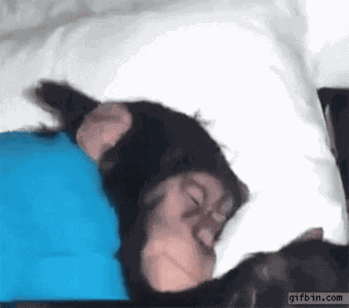 Wake Up Monkey Wake Up GIF