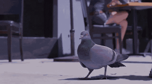 Walk Away Vibe GIF