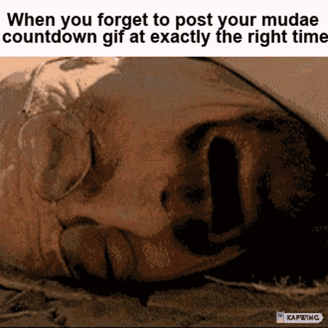 Walter White Falling Mudae GIF