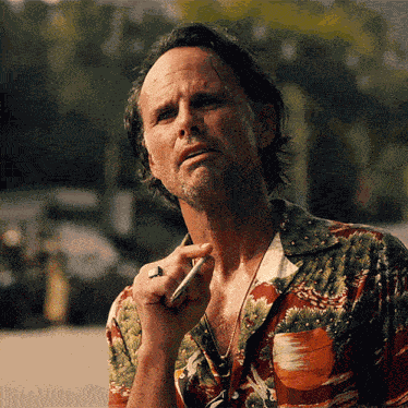 Walton Goggins Rick Hatchett GIF