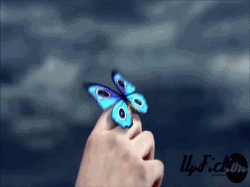 Wan Wangray GIF