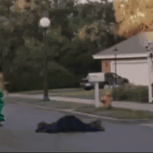 Wandavision Agatha Harkness GIF