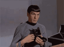 Wangray Spock GIF