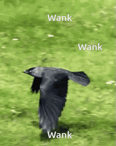 Wank Bird GIF