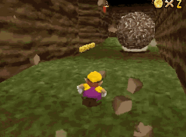 Wario Super Mario 64 Ds GIF