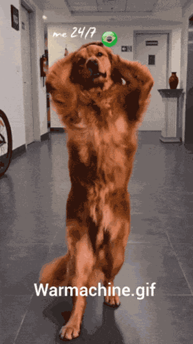 Warmachine Gif Brazil Football GIF