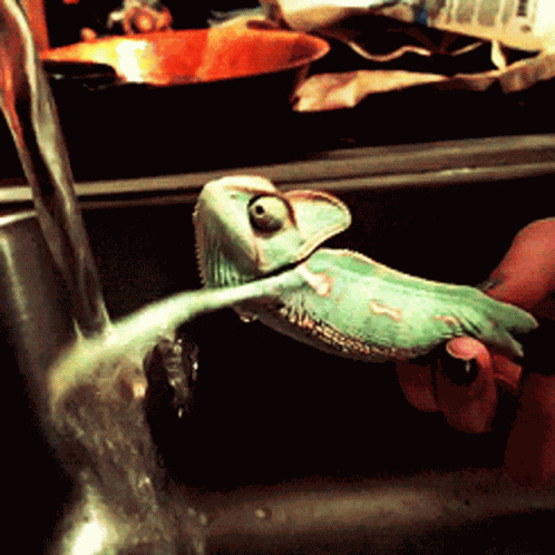 Washing Hands GIF
