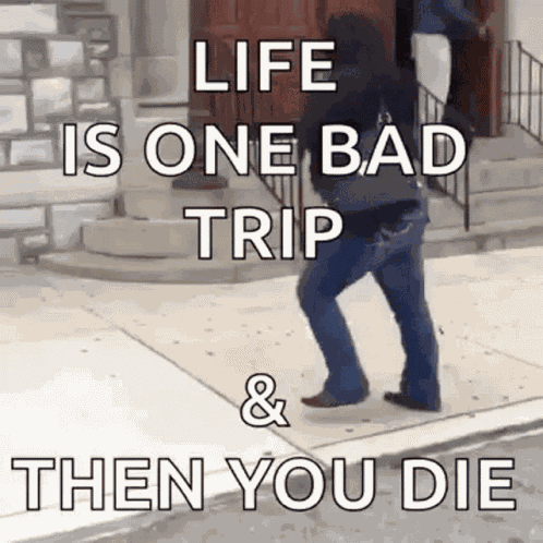 Wasted Drunk GIF
