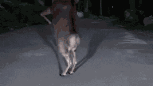 Wasted Hungover GIF