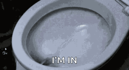 Wasting Money Toilet GIF