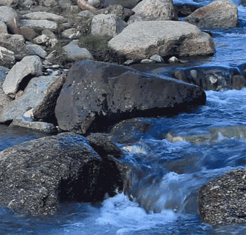 Water Is Part Of A Deeply Inter Connected System Flowing GIF