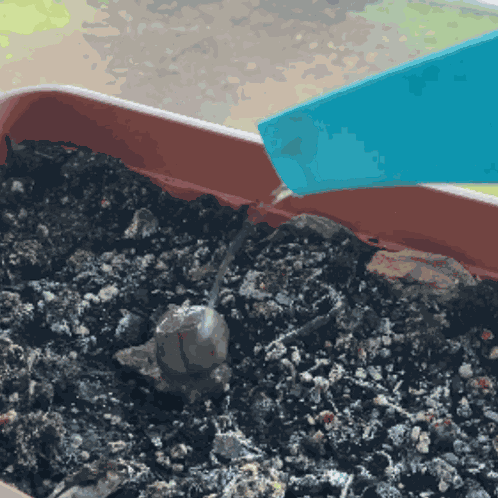 Water On Rock Pouring Water On A Rock Day Two GIF