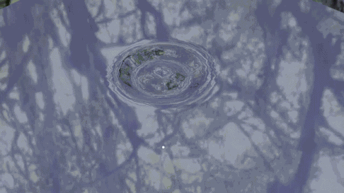 Water Water Drop GIF