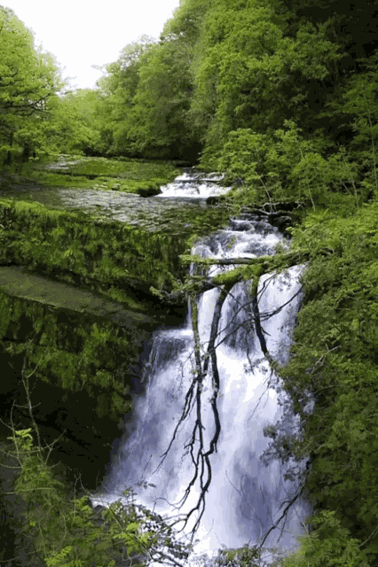 Water Water Falls GIF
