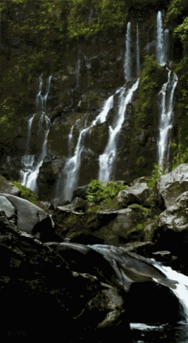 Waterfall GIF