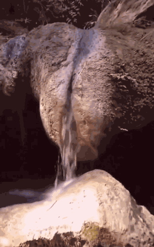 Waterfall Meme GIF