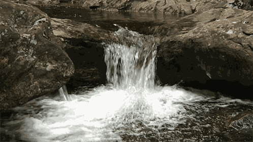 Waterfall Nature GIF