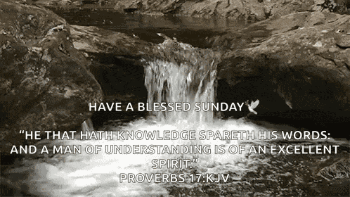 Waterfall Nature GIF