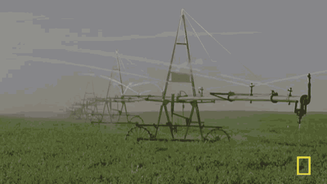 Watering Crops Farming GIF