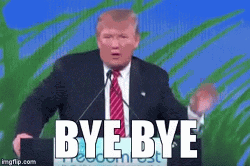 Wave Donald Trump GIF