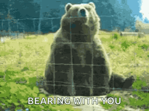Wave To Me Bear GIF